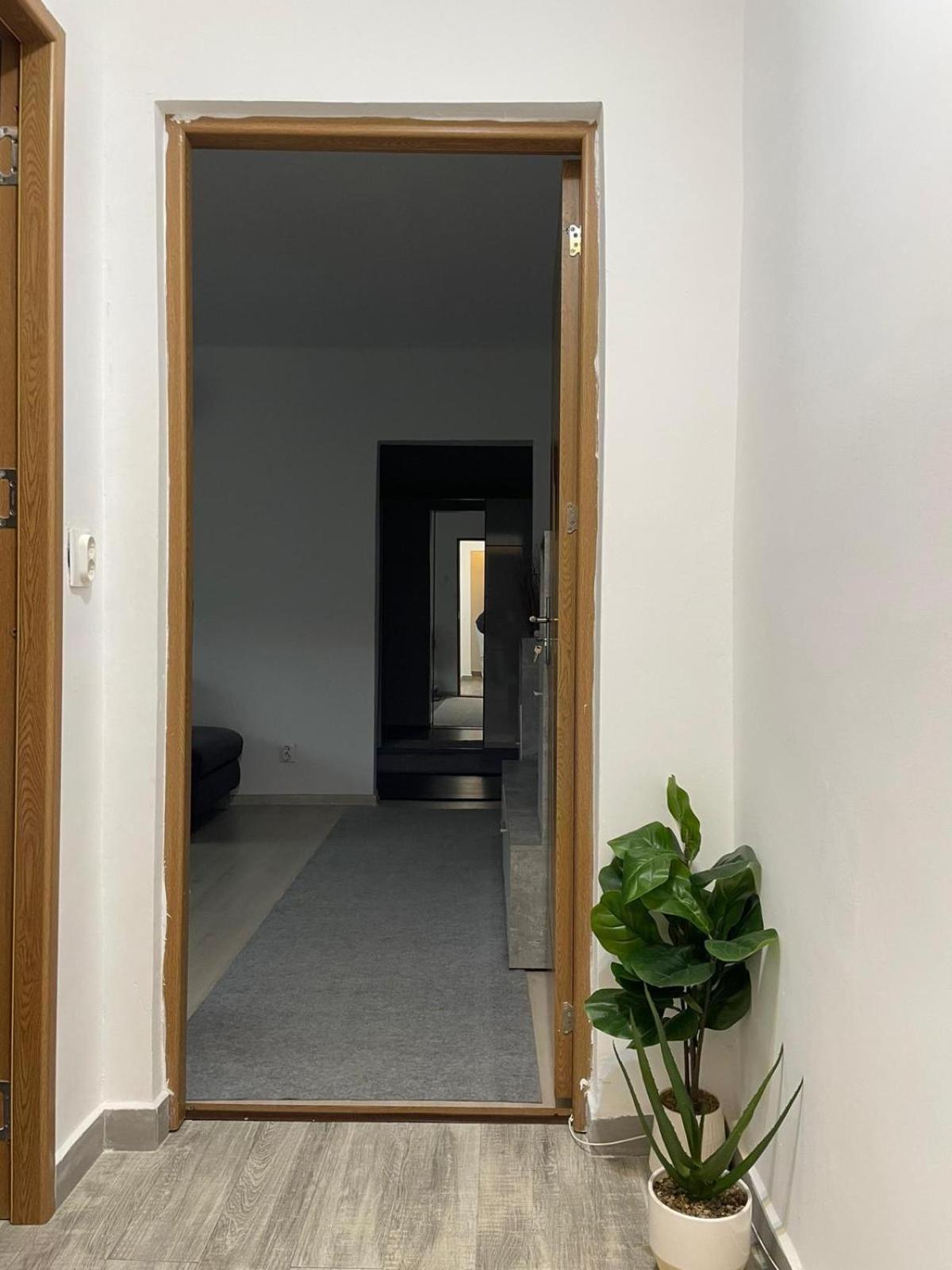 Apartament Inu Orşova エクステリア 写真