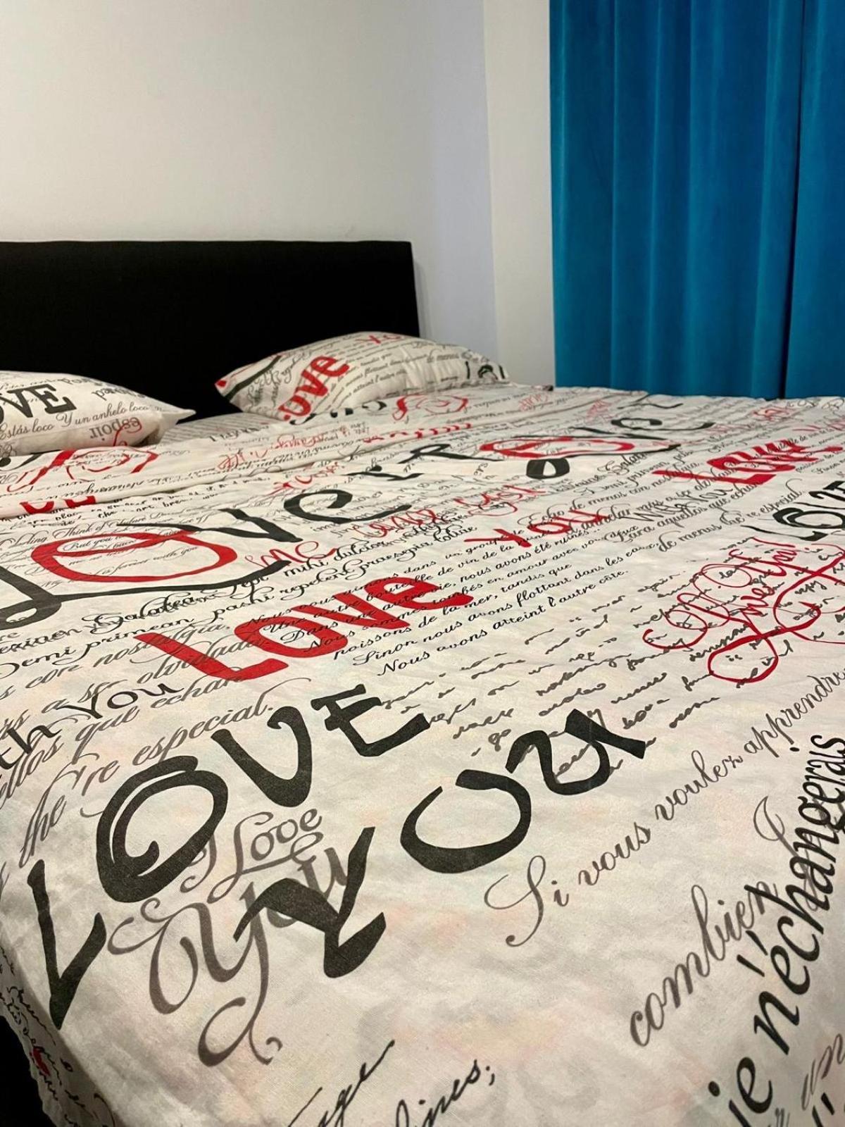 Apartament Inu Orşova エクステリア 写真
